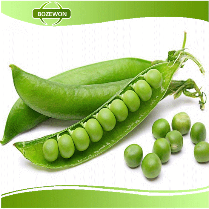 Pea fiber